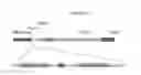 Fig. 07 - TAL-mediated transfer DNA insertion