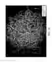 Fig. 22 - Fluid-Entangled Laminate Webs Having Hollow Projections and a Process and Apparatus for Making the Same