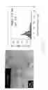 Fig. 09 - COMPOSITE OF SIZE-CONTROLLABLE METAL NANOPARTICALES AND THE METHOD OF MAKING THE SAME