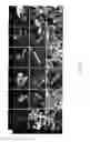 Fig. 30 - COMPOSITE OF SIZE-CONTROLLABLE METAL NANOPARTICALES AND THE METHOD OF MAKING THE SAME