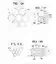 Fig. 09 - Air cellular cushioning article of enhanced strength per unit weight of film, and process for making same