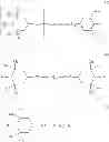 Fig. 04 - Ultraviolet ray curable ink composition for use in ink jet method and printed object