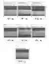 Fig. 05 - Multilayer film having at least one thin layer and continuous process for forming such a film