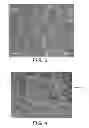 Fig. 04 - FOAM-LIKE MATERIALS AND METHODS FOR PRODUCING SAME