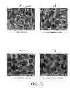 Fig. 10 - FOAM-LIKE MATERIALS AND METHODS FOR PRODUCING SAME