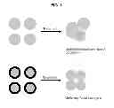 Fig. 02 - POROGEN COMPOSITIONS, METHODS OF MAKING AND USES