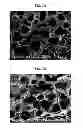 Fig. 08 - POROGEN COMPOSITIONS, METHODS OF MAKING AND USES