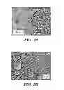 Fig. 06 - FEMTOSECOND LASER PULSE SURFACE STRUCTURING METHODS AND MATERIALS RESULTING THEREFROM