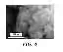 Fig. 07 - FEMTOSECOND LASER PULSE SURFACE STRUCTURING METHODS AND MATERIALS RESULTING THEREFROM