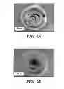 Fig. 08 - FEMTOSECOND LASER PULSE SURFACE STRUCTURING METHODS AND MATERIALS RESULTING THEREFROM