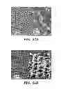 Fig. 22 - FEMTOSECOND LASER PULSE SURFACE STRUCTURING METHODS AND MATERIALS RESULTING THEREFROM