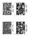 Fig. 28 - FEMTOSECOND LASER PULSE SURFACE STRUCTURING METHODS AND MATERIALS RESULTING THEREFROM
