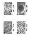 Fig. 33 - FEMTOSECOND LASER PULSE SURFACE STRUCTURING METHODS AND MATERIALS RESULTING THEREFROM