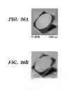 Fig. 37 - FEMTOSECOND LASER PULSE SURFACE STRUCTURING METHODS AND MATERIALS RESULTING THEREFROM
