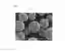 Fig. 02 - CARRIER CORE PARTICLES FOR ELECTROPHOTOGRAPHIC DEVELOPER, CARRIER FOR ELECTROPHOTOGRAPHIC DEVELOPER, ELECTROPHOTOGRAPHIC DEVELOPER AND METHOD FOR MANUFACTURING THE CARRIER CORE PARTICLES