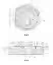 Fig. 17 - METHOD AND APPARATUS FOR GENERATING GRAPHIC IMAGES WITH FIRE