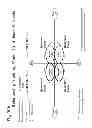 Fig. 41 - Method and apparatus for personal awareness and growth