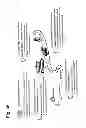 Fig. 61 - Method and apparatus for personal awareness and growth