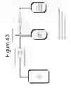 Fig. 49 - Apparatuses, Compositions, and Methods for Prolonging Survival of Platelets