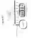 Fig. 63 - Apparatuses, Compositions, and Methods for Prolonging Survival of Platelets