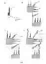 Fig. 07 - Structures for Enhancement of Local Electric Field, Light Absorption, Light Radiation, Material Detection and Methods for Making and Using of the Same.