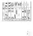 Fig. 02 - Methods for Identifying Stem Cells Based on Nuclear Morphotypes