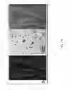 Fig. 04 - Methods for Identifying Stem Cells Based on Nuclear Morphotypes
