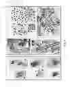 Fig. 28 - Methods for Identifying Stem Cells Based on Nuclear Morphotypes