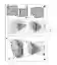 Fig. 37 - Methods for Identifying Stem Cells Based on Nuclear Morphotypes