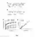 Fig. 02 - Probes of RNA structure and methods for using the same