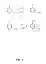 Fig. 02 - Flash and Glow 1,2-Dioxetanes