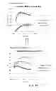 Fig. 18 - Flash and Glow 1,2-Dioxetanes