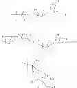Fig. 24 - Flash and Glow 1,2-Dioxetanes