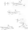 Fig. 62 - Flash and Glow 1,2-Dioxetanes