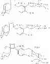 Fig. 98 - Flash and Glow 1,2-Dioxetanes