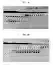 Fig. 02 - High Fidelity Restriction Endonucleases