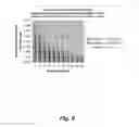 Fig. 09 - Determination of copy number differences by amplification