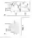 Fig. 02 - METHOD AND KIT FOR MEASURING MICRO-RNA IN BODY FLUIDS