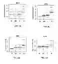 Fig. 09 - ANALYSIS OF CIRCULATING TUMOR CELLS AS DIAGNOSTIC AND PREDICTIVE BIOMARKERS FOR METASTATIC CANCERS