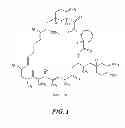 Fig. 02 - Compounds and methods for determination of FKBP-binding immunosuppressant drugs