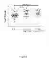 Fig. 05 - TLR agonist-enhanced in vitro assay of cell mediated immune responsiveness