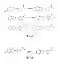 Fig. 05 - LUMINOGENIC AND FLUOROGENIC COMPOUNDS AND METHODS TO DETECT MOLECULES OR CONDITIONS