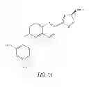 Fig. 07 - LUMINOGENIC AND FLUOROGENIC COMPOUNDS AND METHODS TO DETECT MOLECULES OR CONDITIONS