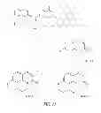 Fig. 11 - LUMINOGENIC AND FLUOROGENIC COMPOUNDS AND METHODS TO DETECT MOLECULES OR CONDITIONS
