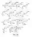 Fig. 12 - LUMINOGENIC AND FLUOROGENIC COMPOUNDS AND METHODS TO DETECT MOLECULES OR CONDITIONS