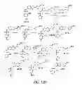 Fig. 13 - LUMINOGENIC AND FLUOROGENIC COMPOUNDS AND METHODS TO DETECT MOLECULES OR CONDITIONS