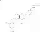 Fig. 143 - LUMINOGENIC AND FLUOROGENIC COMPOUNDS AND METHODS TO DETECT MOLECULES OR CONDITIONS