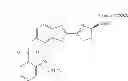 Fig. 147 - LUMINOGENIC AND FLUOROGENIC COMPOUNDS AND METHODS TO DETECT MOLECULES OR CONDITIONS
