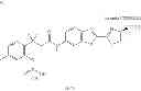 Fig. 160 - LUMINOGENIC AND FLUOROGENIC COMPOUNDS AND METHODS TO DETECT MOLECULES OR CONDITIONS