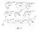 Fig. 17 - LUMINOGENIC AND FLUOROGENIC COMPOUNDS AND METHODS TO DETECT MOLECULES OR CONDITIONS